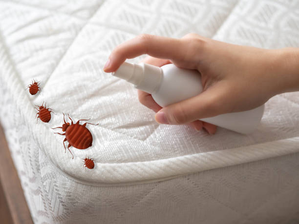 Best Flea Control Services  in North Muskegon, MI