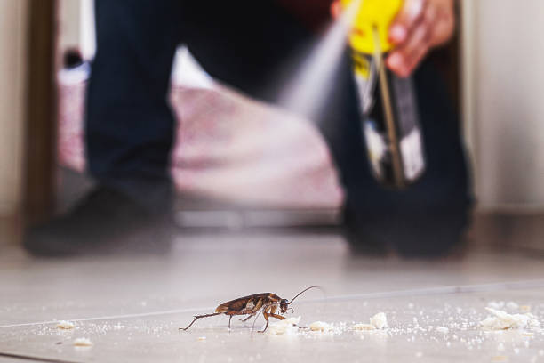 Pest Prevention Services in North Muskegon, MI