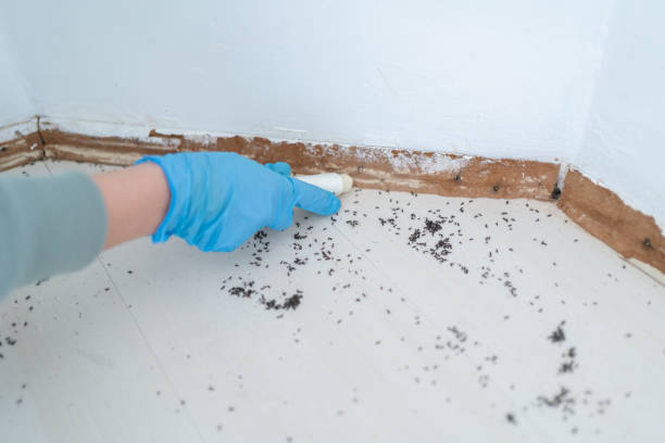 Best Pest Prevention Services  in North Muskegon, MI