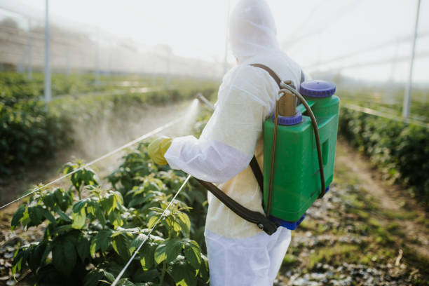 Best Bed Bug Extermination  in North Muskegon, MI